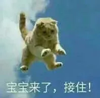 宝宝来了，接住！（宝宝来了，接住！）