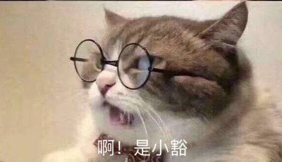 阿！是小豁（阿！是小豁）
