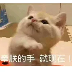 牵牵朕的手就现在（牵牵朕的手就现在）