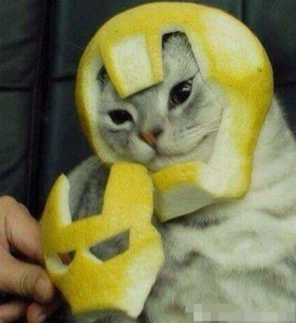 钢铁侠小猫（钢铁侠小猫）