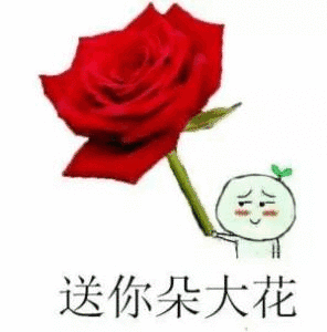 送你朵大花（送你朵大花）