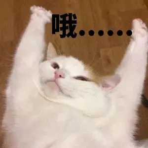 哦（哦）