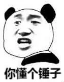 你懂个锤子（你懂个锤子）