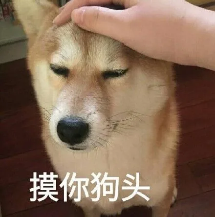 摸你狗头（摸你狗头）