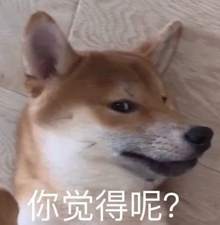 你觉得呢？（你觉得呢？）