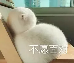 不愿面对（不愿面对）