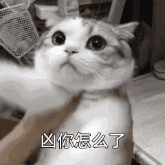 凶你怎么了（凶你怎么了）
