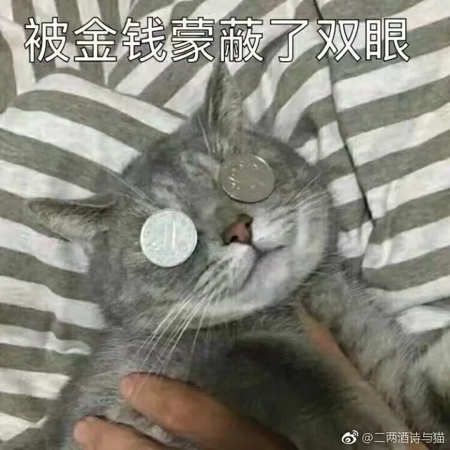 被金钱蒙蔽了双眼（被金钱蒙蔽了双眼）