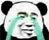熊猫哭了（熊猫哭了）