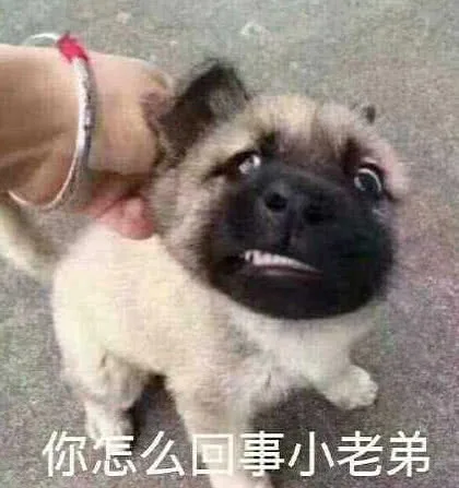 你怎么事小老弟（你怎么事小老弟）
