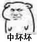 中坏坏（中坏坏）