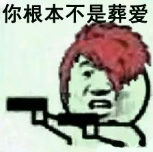 你根本不是葬爱（你根本不是葬爱）