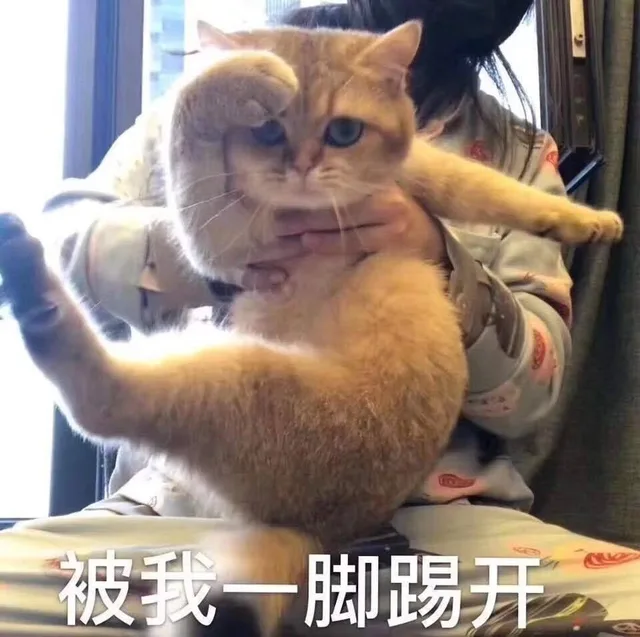 被我一脚踢开（被我一脚踢开）