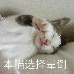 本喵选择晕倒（本喵选择晕倒）