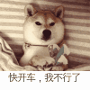 快开车，我不行了（快开车，我不行了）
