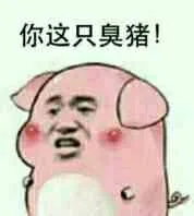 你这只臭猪（你这只臭猪）