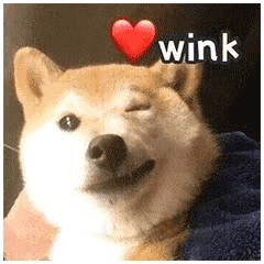 wink 眯眼杀（wink 眯眼杀）