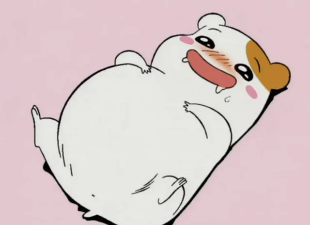 吃的好饱（吃的好饱）