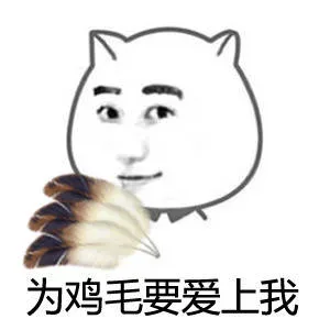 为鸡毛要爱上我