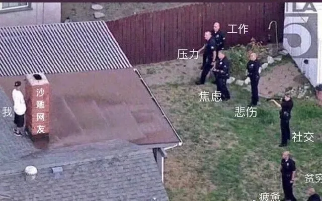 躲在沙雕网友背后，逃避社交、贫穷、工作、压力。。。