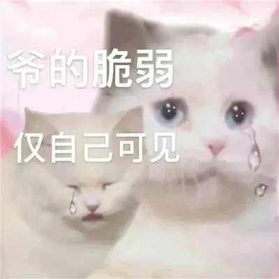 爷的脆弱仅自己可见