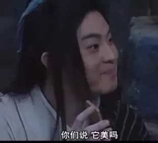 你们说 它美吗