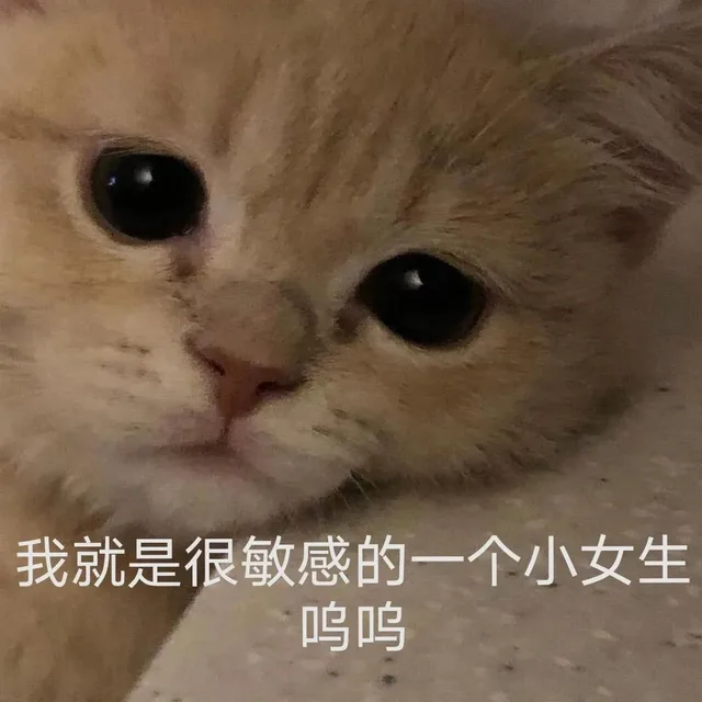 我就是很敏感的一个小女生呜呜（我就是很敏感的一个小女生呜呜）