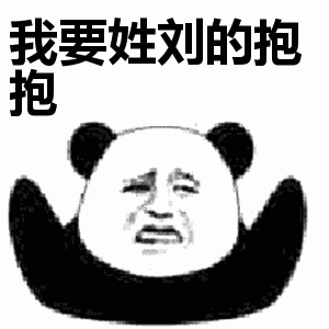 你要姓什么的抱抱呢？ _熊猫头_抱抱_撩妹撩汉表情包