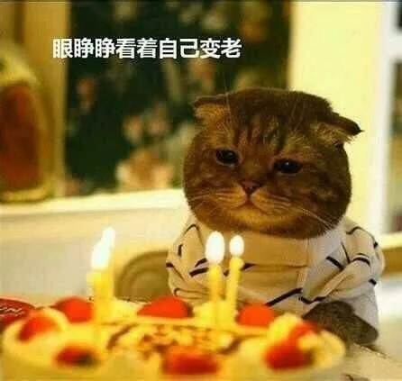 最近身边谁生日？拿去要礼物 or 调戏下_生日快乐表情包