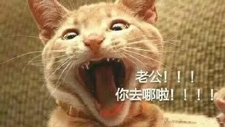 喊老公表情包（喵喵] ）_老公_喵星人_撩妹撩汉表情包