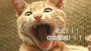 喊老公表情包（喵喵] ）_老公_喵星人_撩妹撩汉