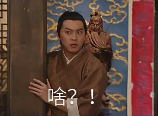 啥？！什么？（老白白展堂）
