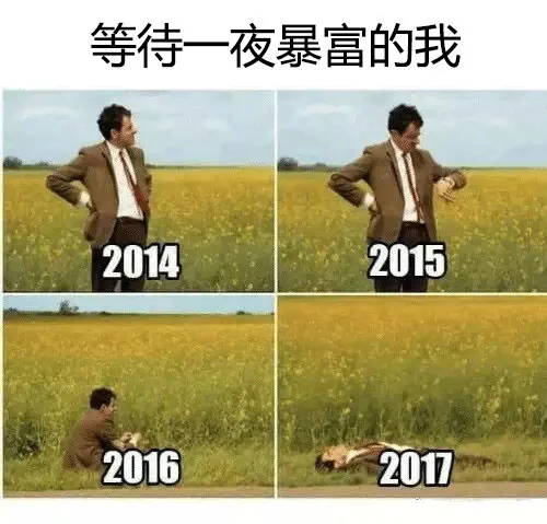 等待一夜暴富的我（2014年 2015年 2016年 2017年 ）