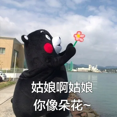 姑娘啊姑娘，你像朵花（姑娘啊姑娘，你像朵花）