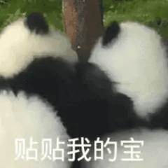 贴贴我的宝（贴贴我的宝）