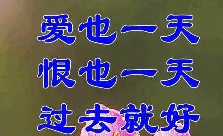 爱也一天恨也一天过去就好（爱也一天恨也一天过去就好）