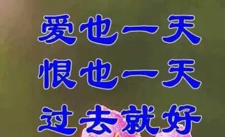 爱也一天恨也一天过去就好