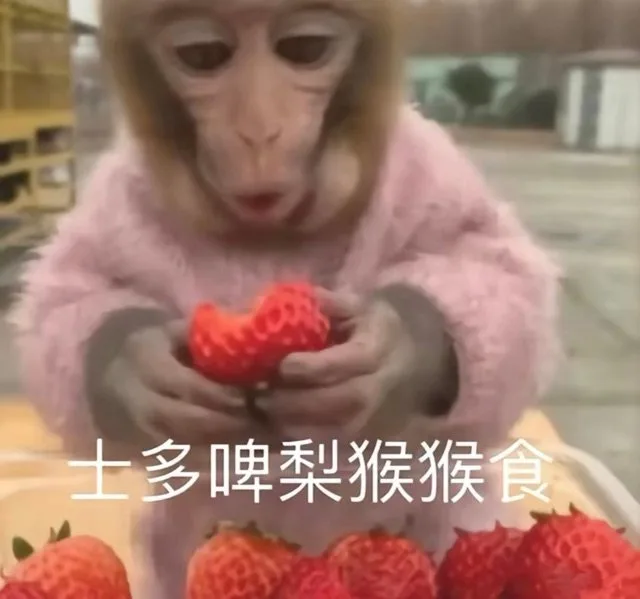 士多啤梨猴猴食(strawberry好好吃)（士多啤梨猴猴食(strawberry好好吃)）