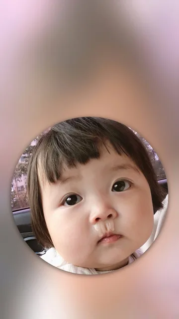胖熙罗熙手机壁纸