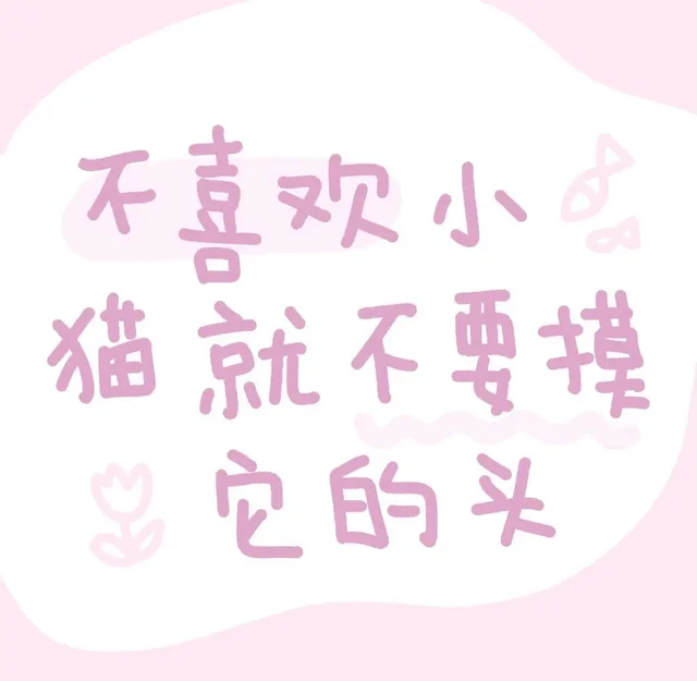 不欢小猫就不要摸它的头