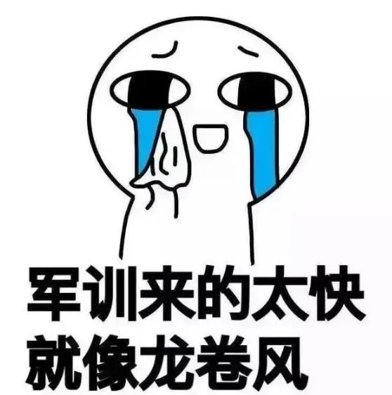嘿嘿 ！醒醒~军训啦_军训