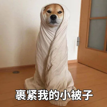 天气要变冷了，都裹紧自己的小被子哦_doge_小被子_萌萌哒