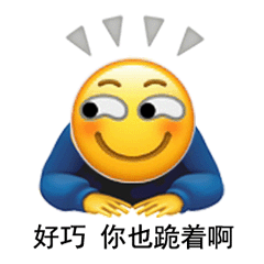 好巧你也跪着啊