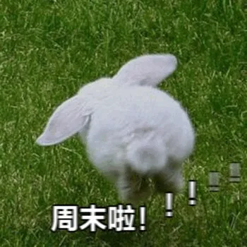 周末啦!(奔跑的兔子)