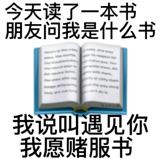 今天读了一本书朋友问我是什么书倍心小云我说叫遇见你我愿赌服书