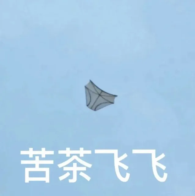 苦茶飞飞（苦茶飞飞）