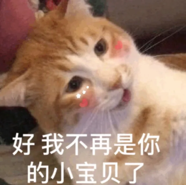 好我不再是你的小宝贝了（好我不再是你的小宝贝了）
