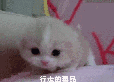 行走的毒品（行走的毒品）