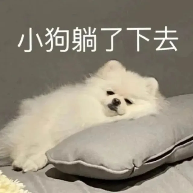小狗躺了下去（小狗躺了下去）