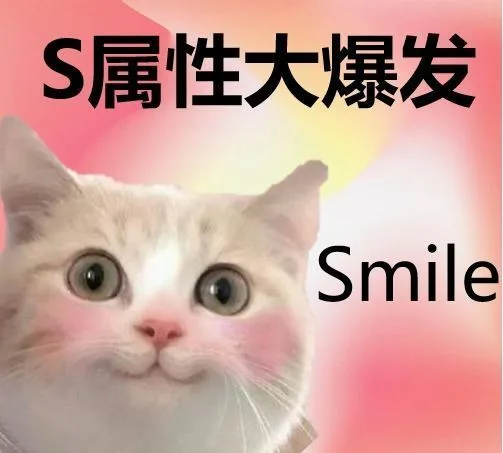 S属性大爆发Smile